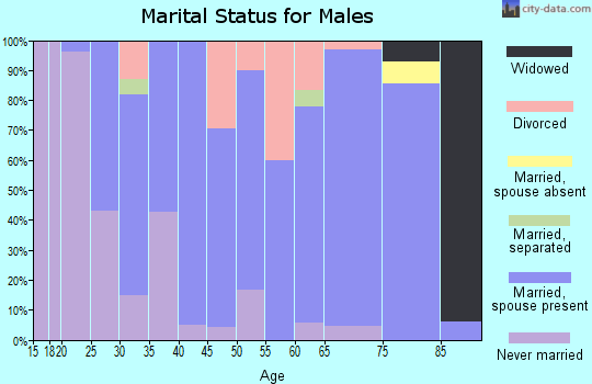 Zip code 43340 marital status for males