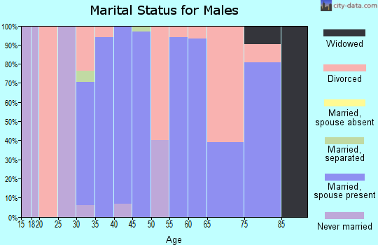 Zip code 43341 marital status for males