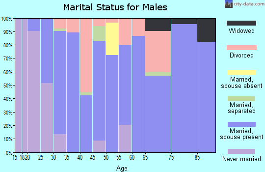 Zip code 43342 marital status for males