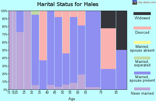 Zip code 43343 marital status for males