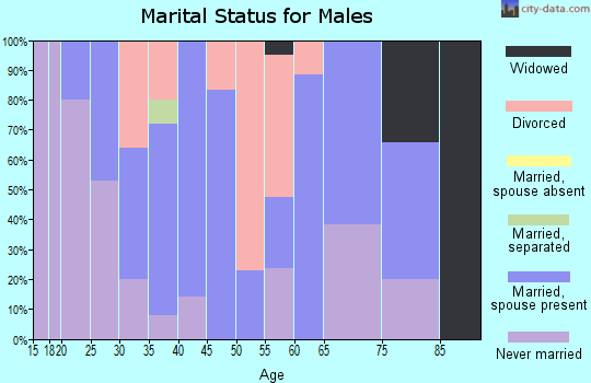 Zip code 43345 marital status for males