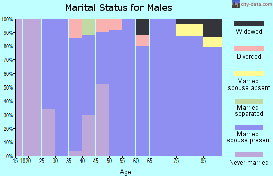 Zip code 43347 marital status for males