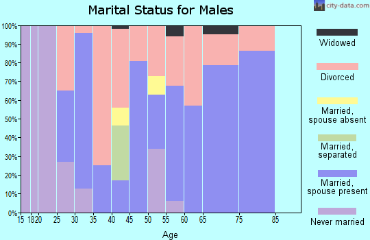Zip code 43348 marital status for males