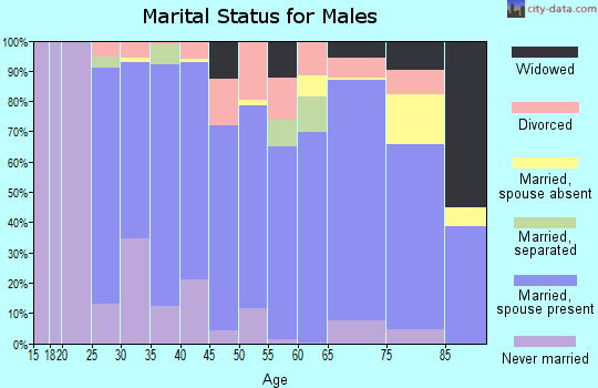 Zip code 43351 marital status for males