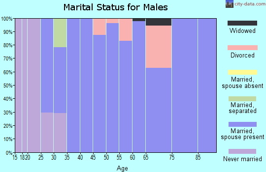 Zip code 43356 marital status for males