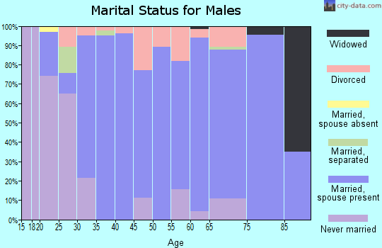 Zip code 43357 marital status for males