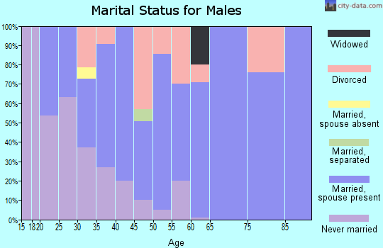 Zip code 43358 marital status for males
