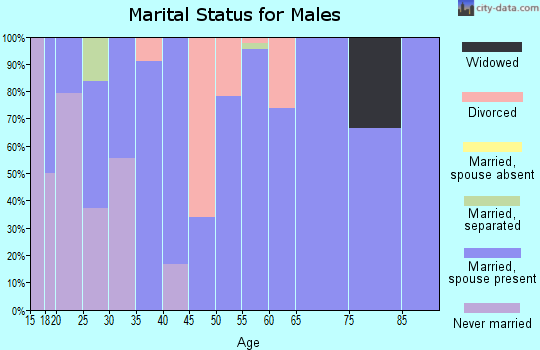Zip code 43359 marital status for males