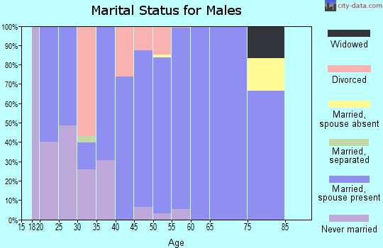 Zip code 43360 marital status for males