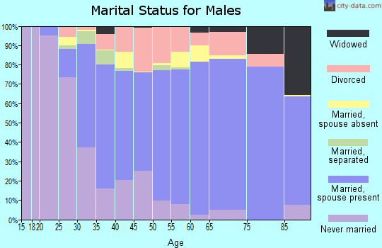 Zip code 43402 marital status for males