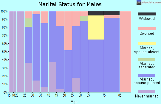Zip code 43406 marital status for males