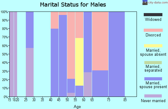 Zip code 43407 marital status for males