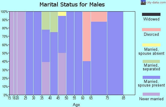 Zip code 43408 marital status for males
