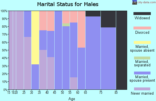 Zip code 43413 marital status for males