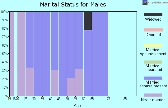 Zip code 43432 marital status for males