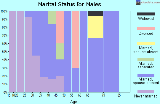 Zip code 43437 marital status for males