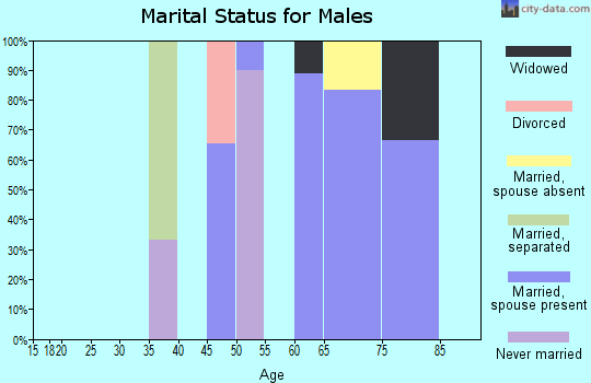 Zip code 43438 marital status for males