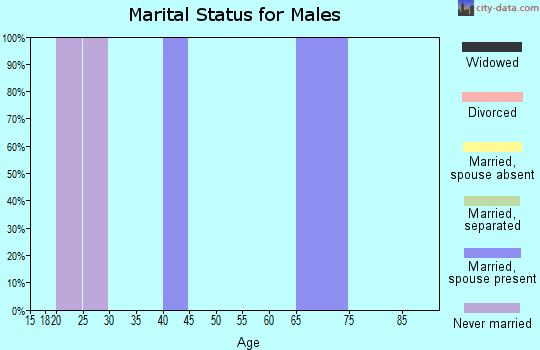Zip code 43439 marital status for males