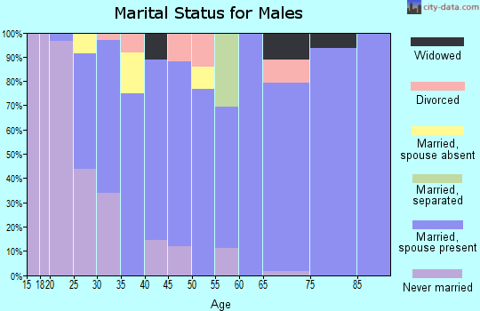Zip code 43443 marital status for males