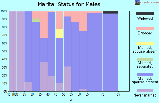 Zip code 43447 marital status for males