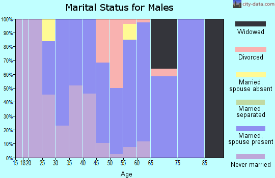 Zip code 43451 marital status for males
