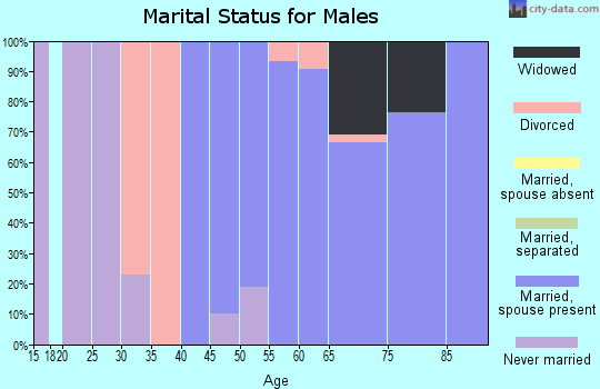 Zip code 43456 marital status for males