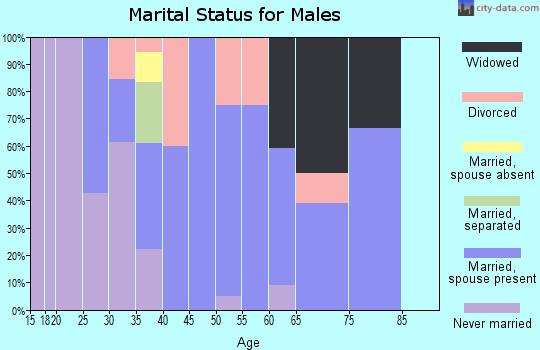Zip code 43458 marital status for males