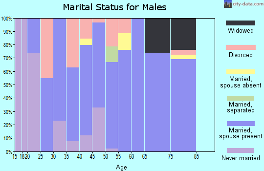 Zip code 43466 marital status for males