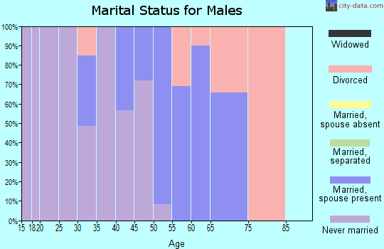 Zip code 43501 marital status for males