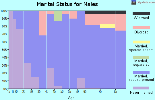 Zip code 43502 marital status for males