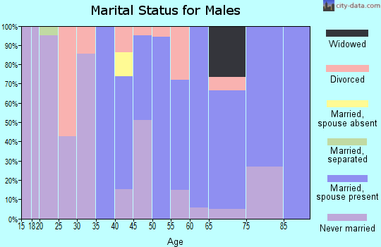 Zip code 43504 marital status for males