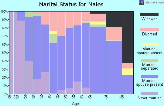 Zip code 43506 marital status for males