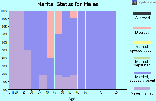 Zip code 43511 marital status for males