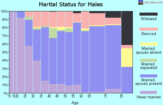 Zip code 43512 marital status for males