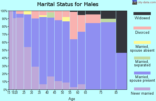 Zip code 43515 marital status for males