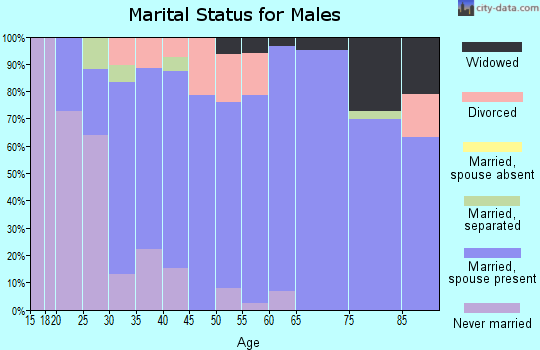 Zip code 43516 marital status for males