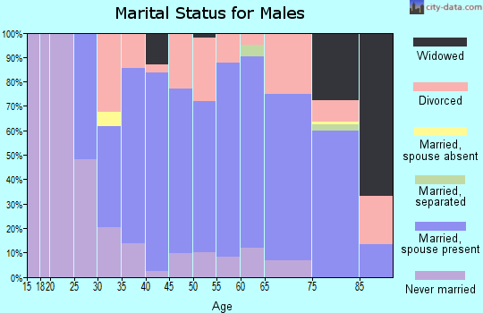 Zip code 43517 marital status for males