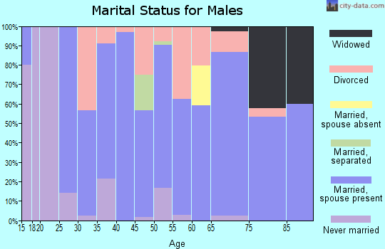 Zip code 43518 marital status for males