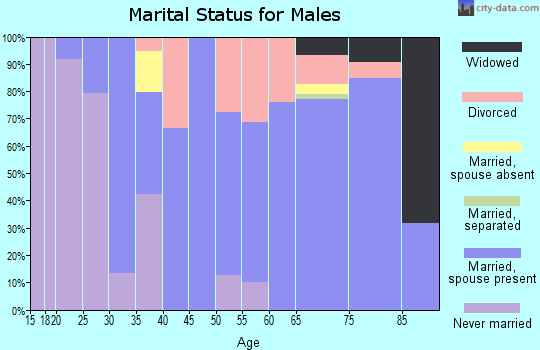 Zip code 43521 marital status for males