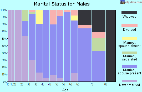 Zip code 43522 marital status for males