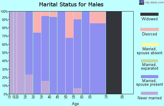 Zip code 43525 marital status for males