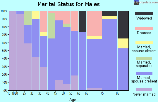 Zip code 43526 marital status for males