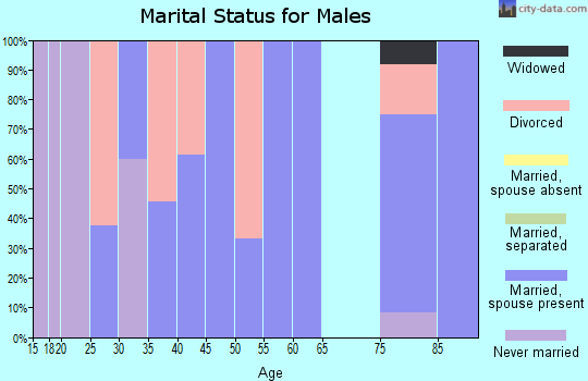 Zip code 43529 marital status for males