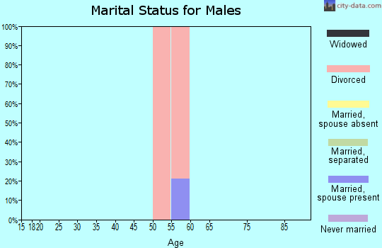 Zip code 43531 marital status for males