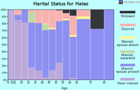 Zip code 43532 marital status for males