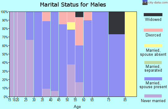 Zip code 43533 marital status for males