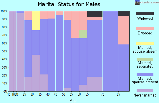 Zip code 43534 marital status for males