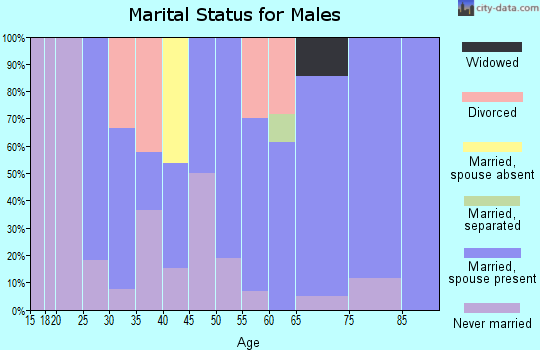 Zip code 43535 marital status for males