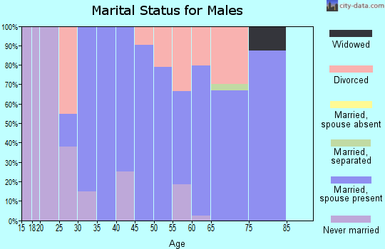 Zip code 43540 marital status for males