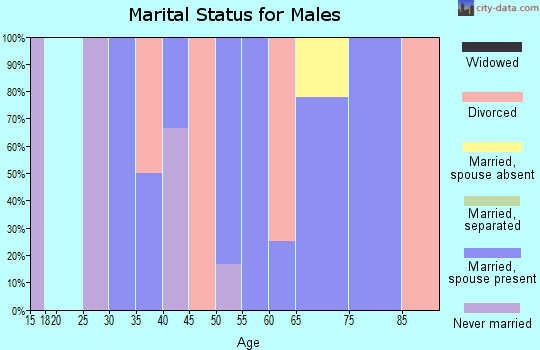 Zip code 43541 marital status for males